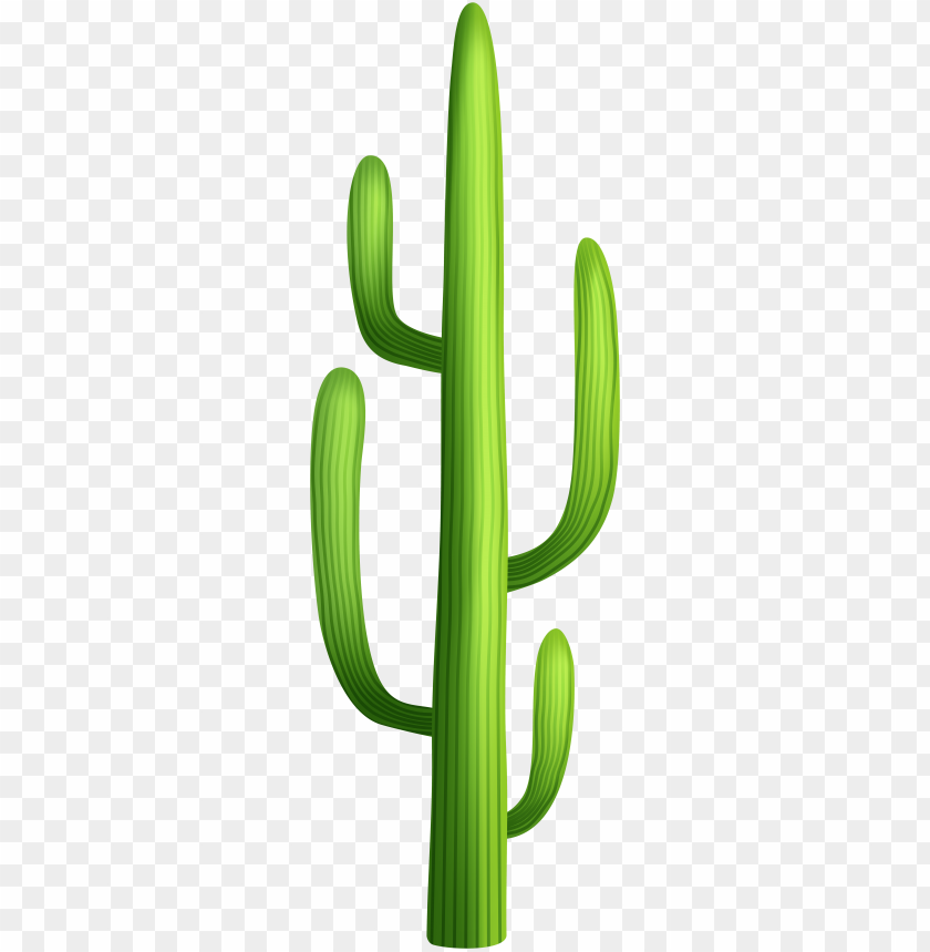 Cactus Transparent PNG Clip Art Image​