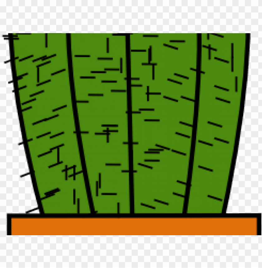 plant, banner, illustration, logo, cacti, frame, food