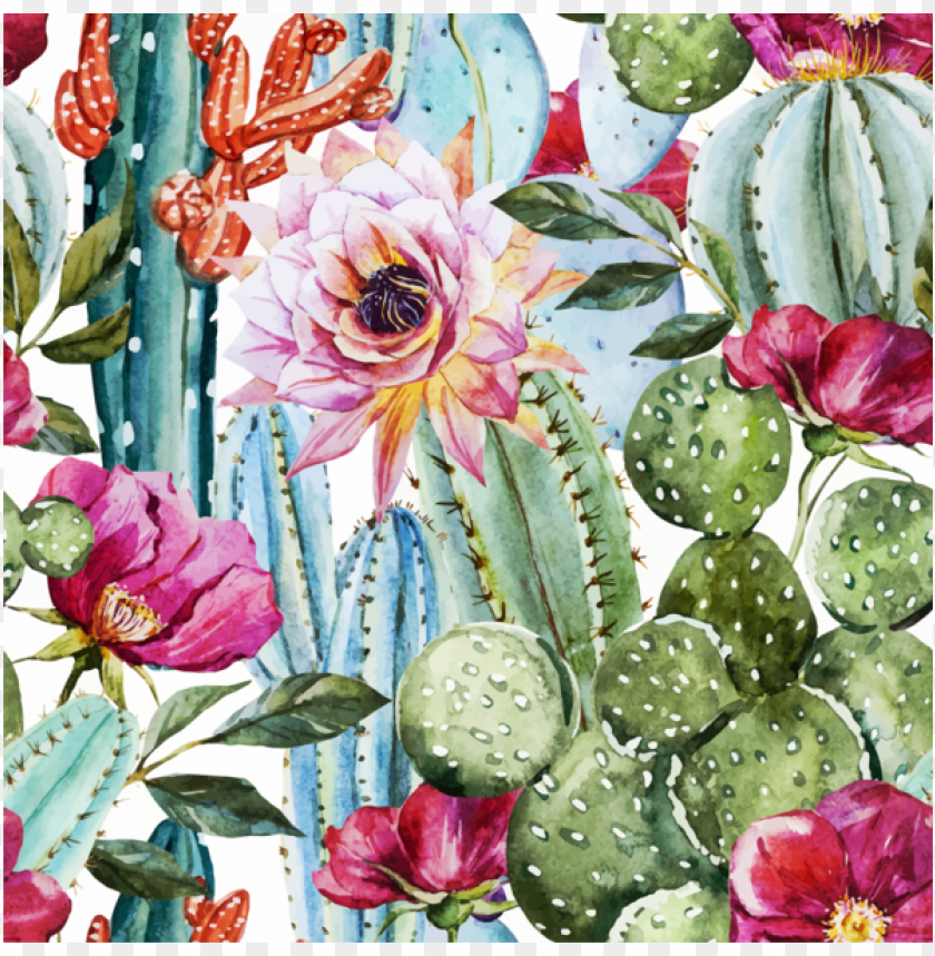 cactus / flower - high resolution watercolor cactus PNG image with transparent background@toppng.com