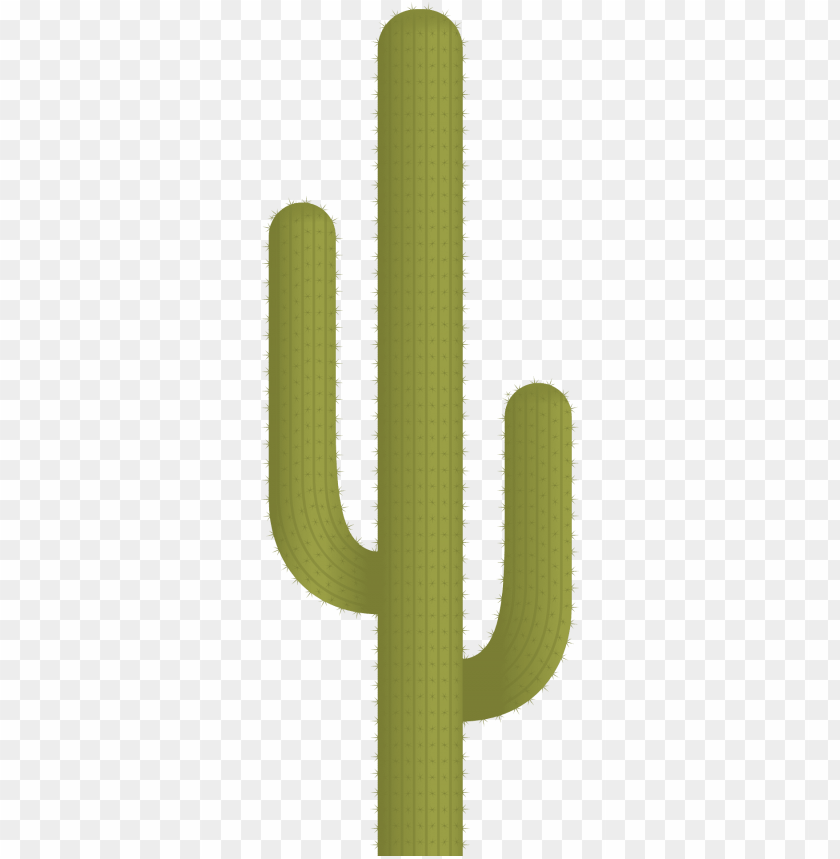 
nature
, 
plant
, 
illustration
, 
desert
, 
clipart
, 
vector
, 
cactus
