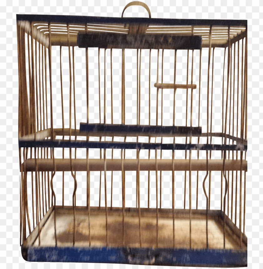 bird cage, steel cage, luke cage, nicolas cage face, cage, nicolas cage