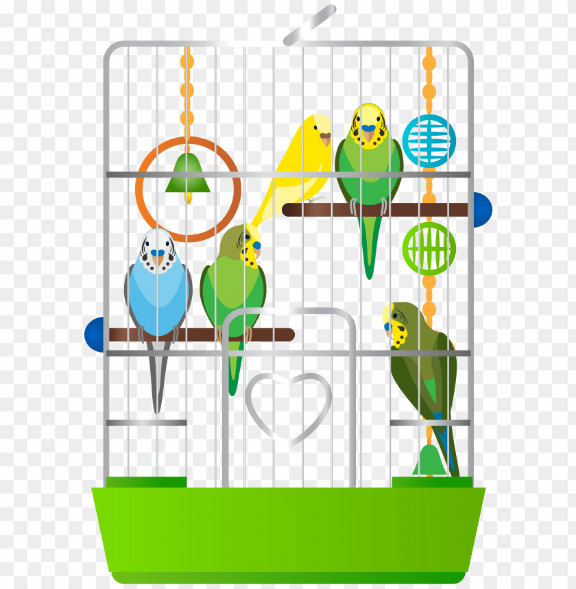 cage, parrots