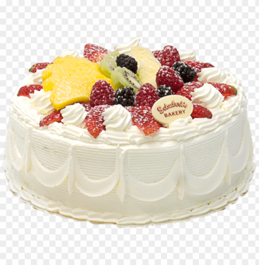 Birthday Cakes & Party Cakes - The Cake Solution
