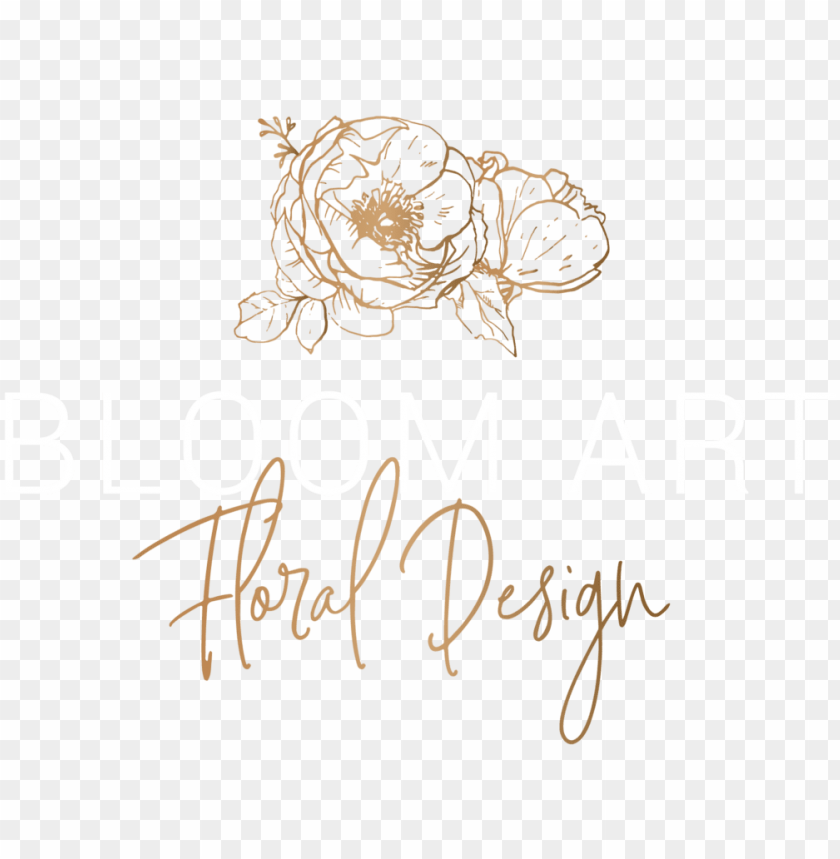 design, symbol, ink, illustration, brush, asian, culture