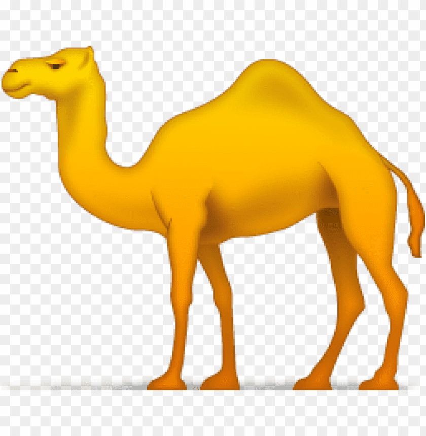 camel,camel free png,camel png free,camel png,camel images png,camel file png,camel transparent