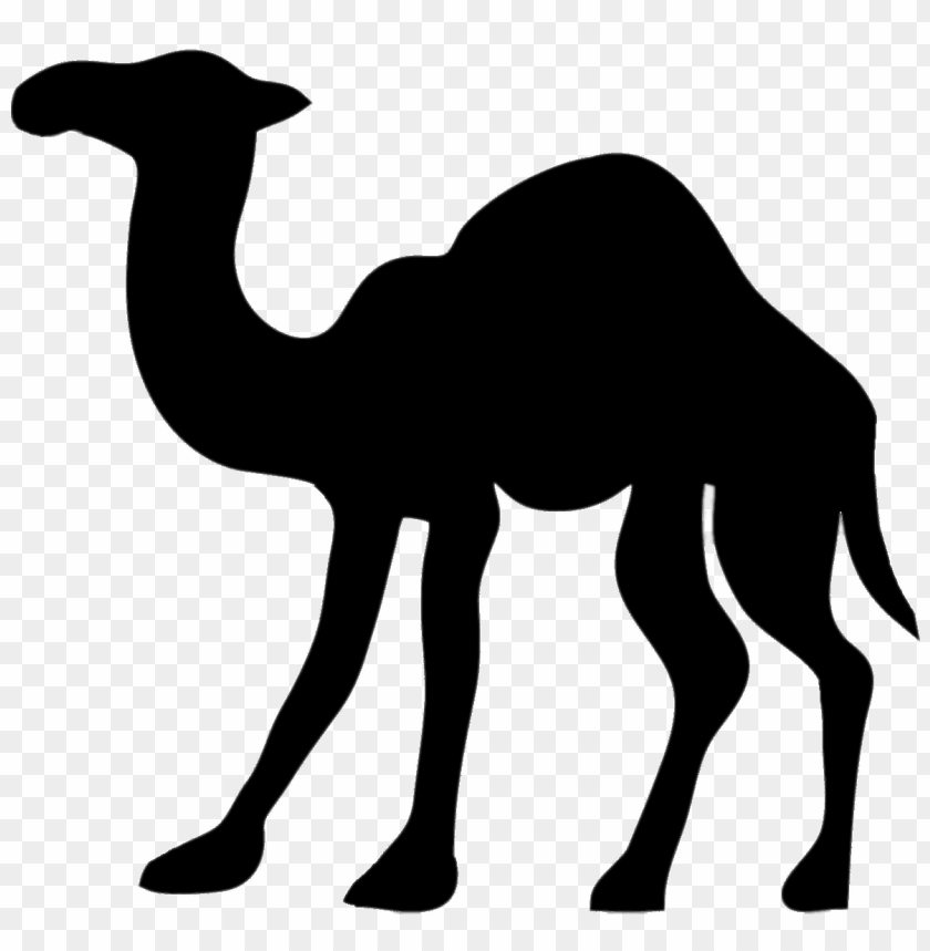 miscellaneous, silhouettes, camel, 