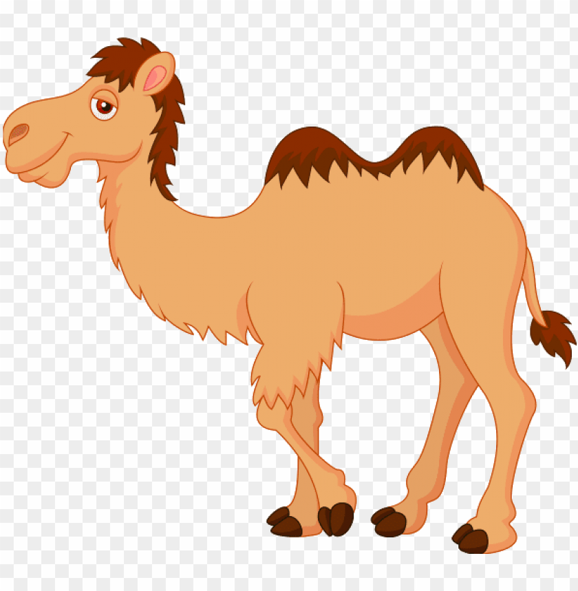 camel png clipart camel clipart PNG transparent with Clear Background ID 201808