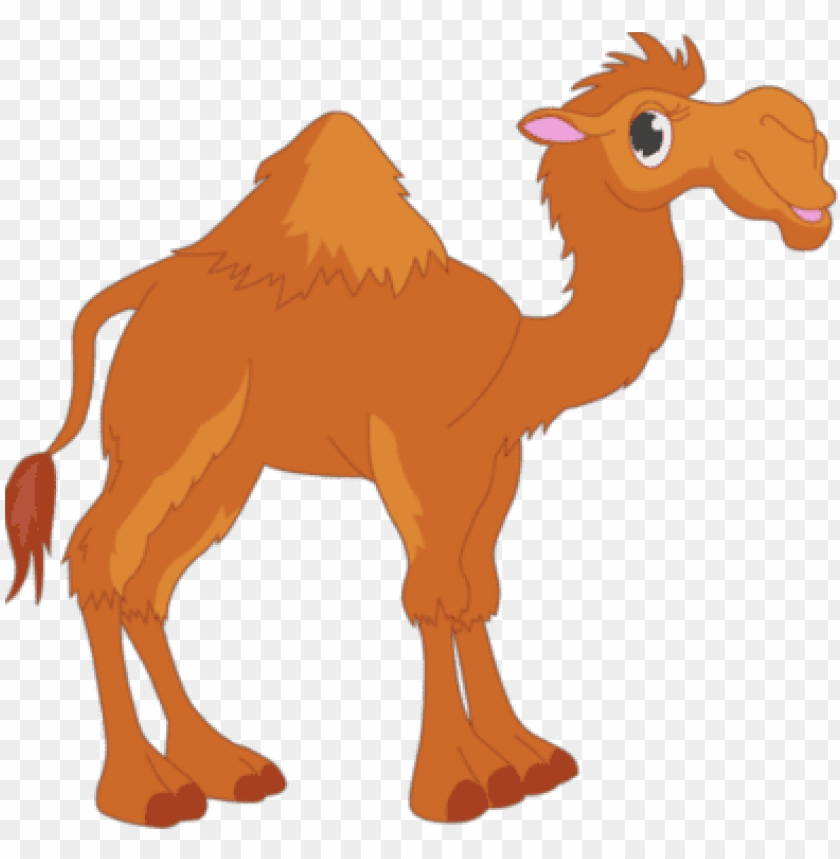 camel - unta cartoon PNG image with transparent background | TOPpng
