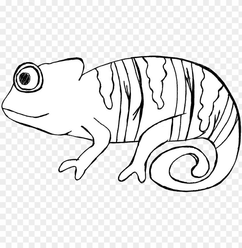 Download Cameleon Clipart Desert Animal Black And White Chameleo Png Image With Transparent Background Toppng