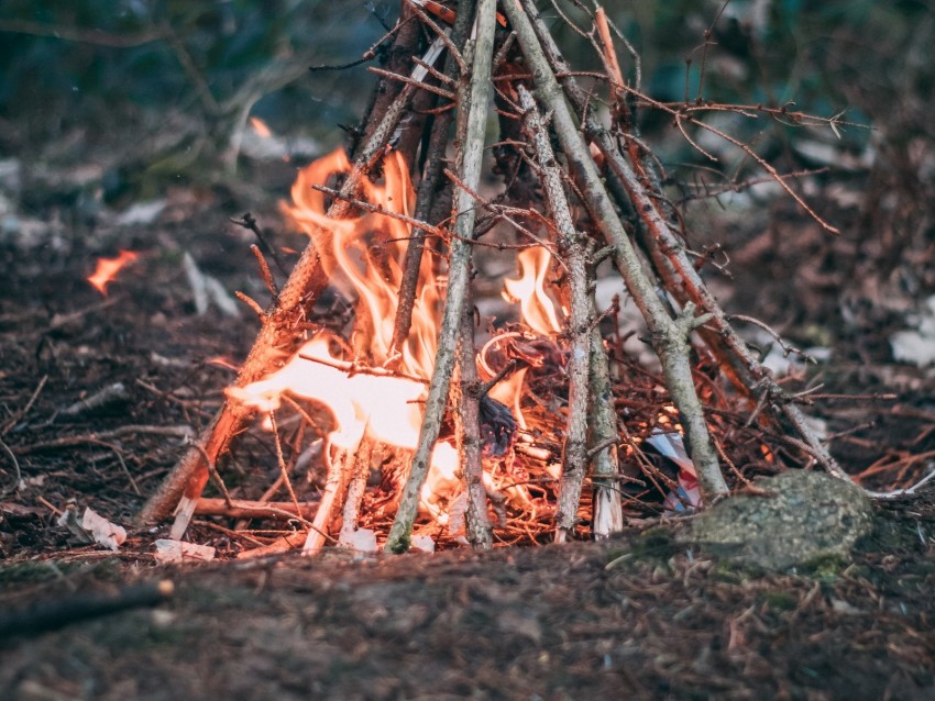 campfire, branches, fire, camping