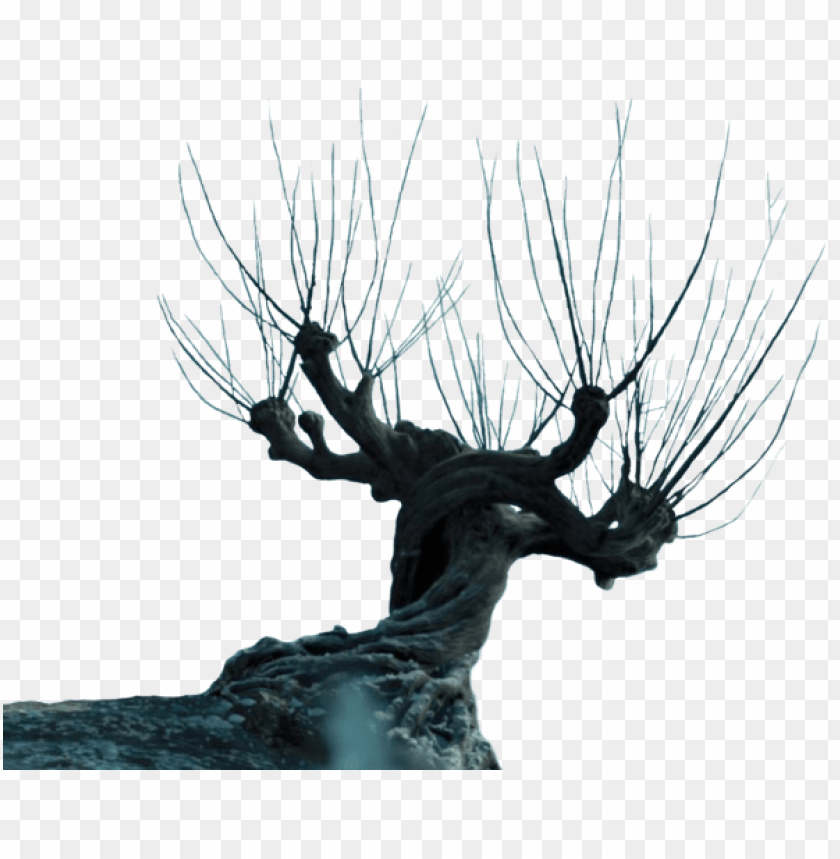 Can Make A Prop That Looks Like It From The Movie - Harry Potter Whomping Willow PNG Transparent With Clear Background ID 217680