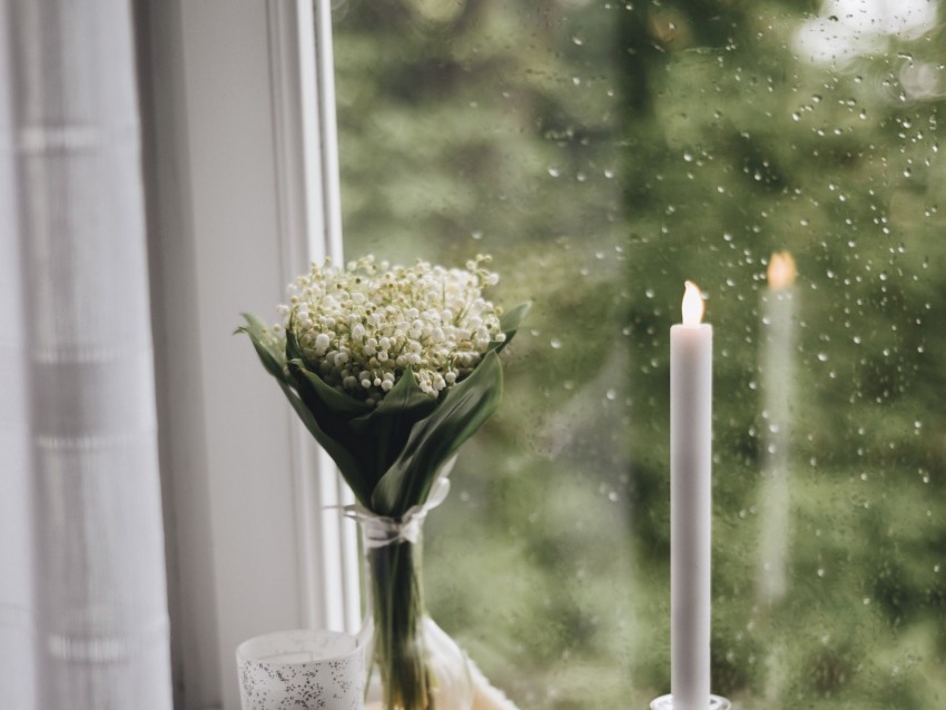 candle, window, bouquet, rain, books, plaid, cup