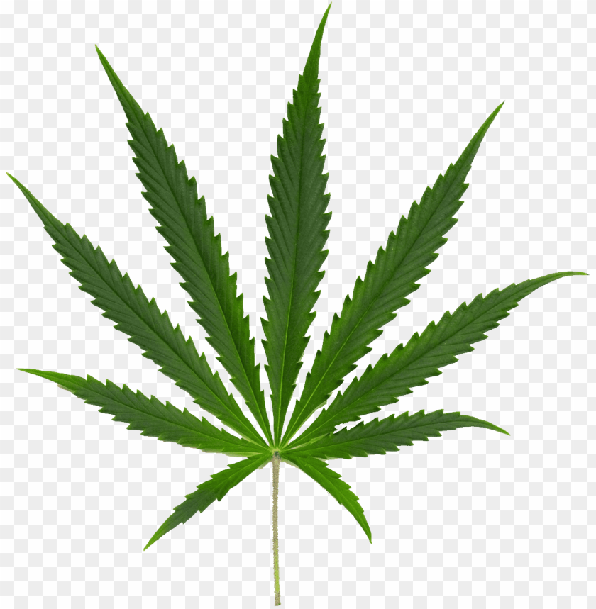 Download Cannabis Png Images Background