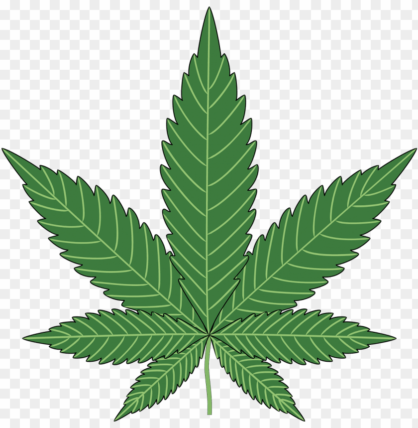 free PNG Download cannabis clipart png photo   PNG images transparent