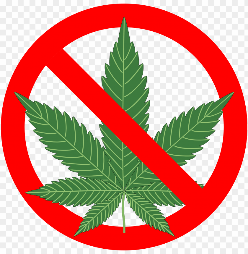 free PNG Download cannabis clipart png photo   PNG images transparent