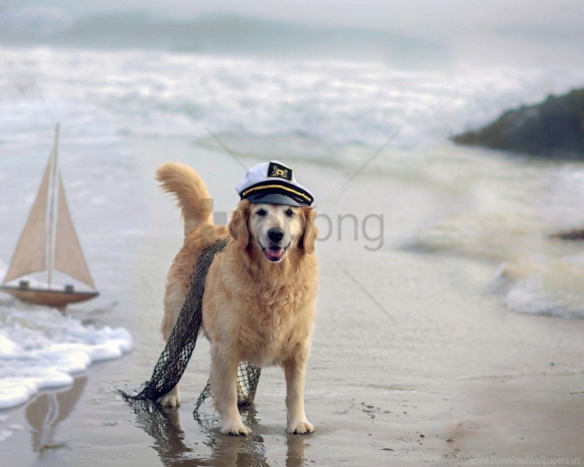 cap dog network sea ship wallpaper background best stock photos - Image ID 160740