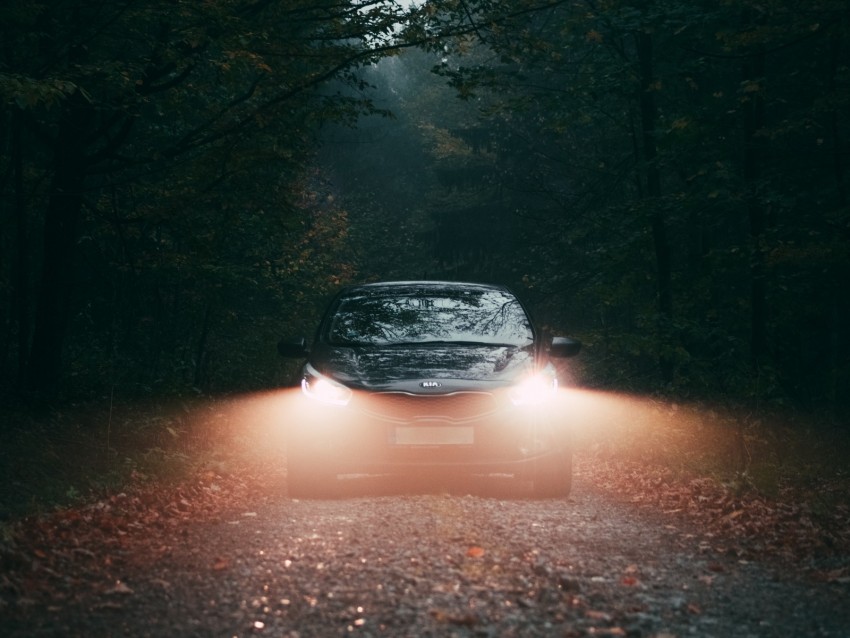 car, fog, lights, forest