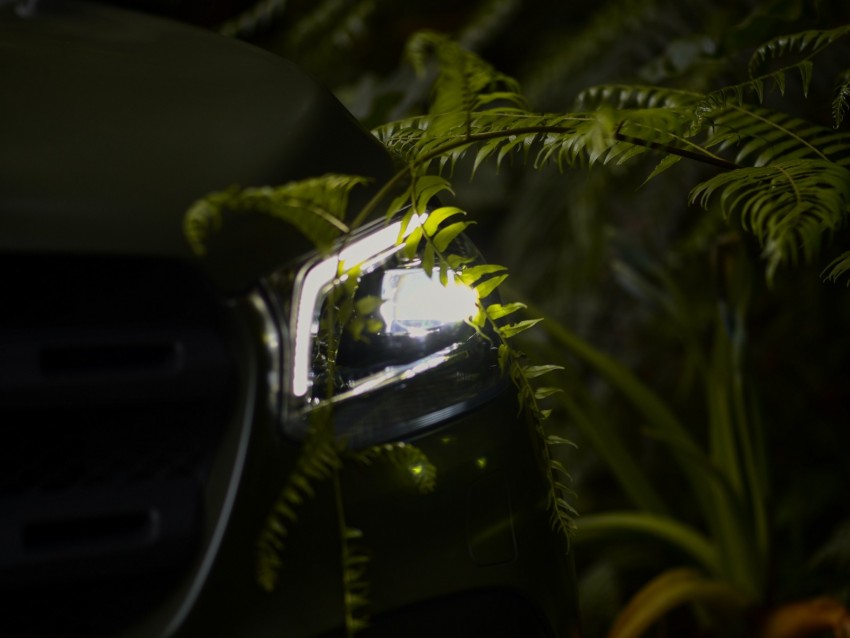 car, headlight, fern, light, night