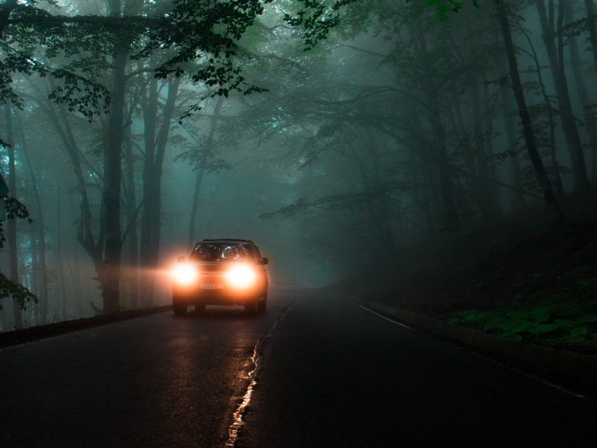 car, headlights, fog, lights, trees, road
