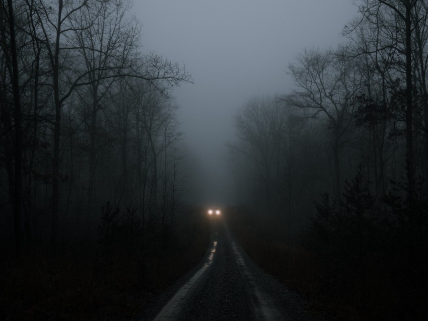 car, lights, fog, trees, road