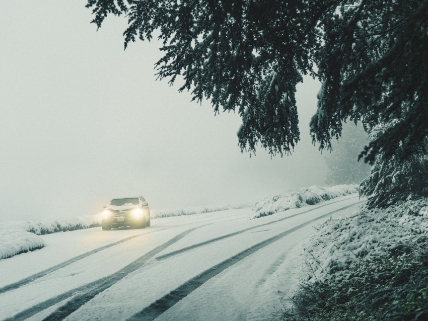 car, lights, snow, fog, branches, winter