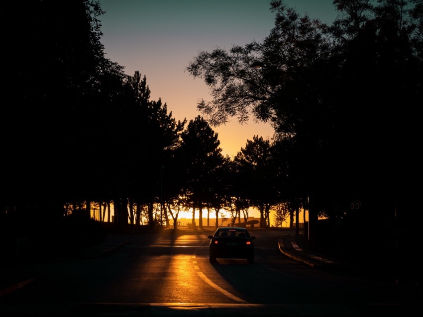 car, night, road, trees, shadow