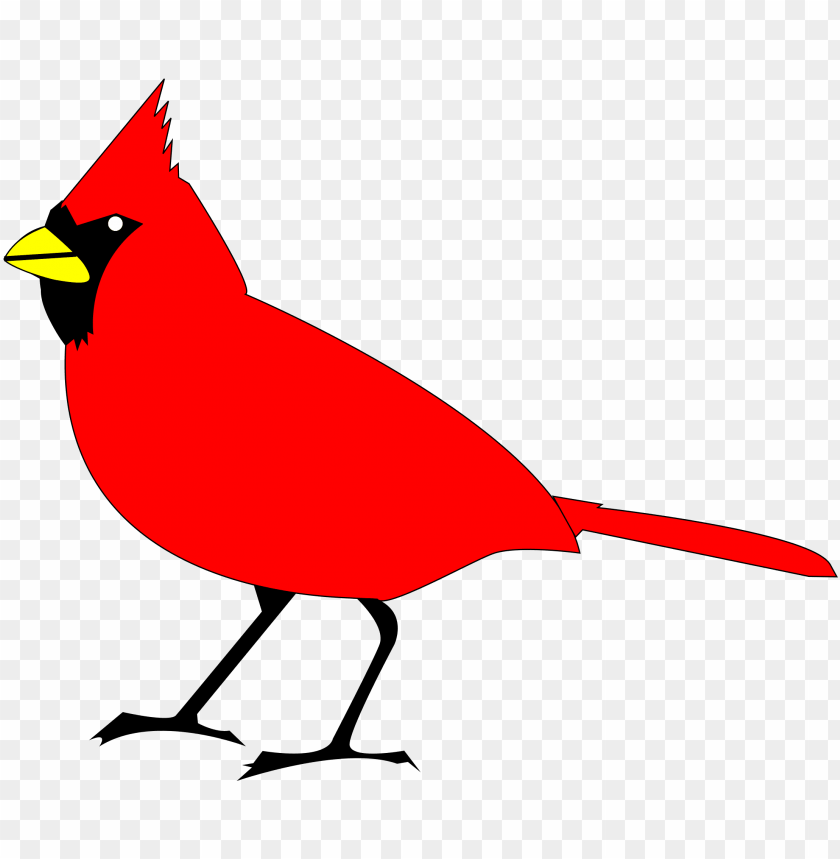 high heel, phoenix bird, twitter bird logo, big bird, bird wings, flappy bird pipe