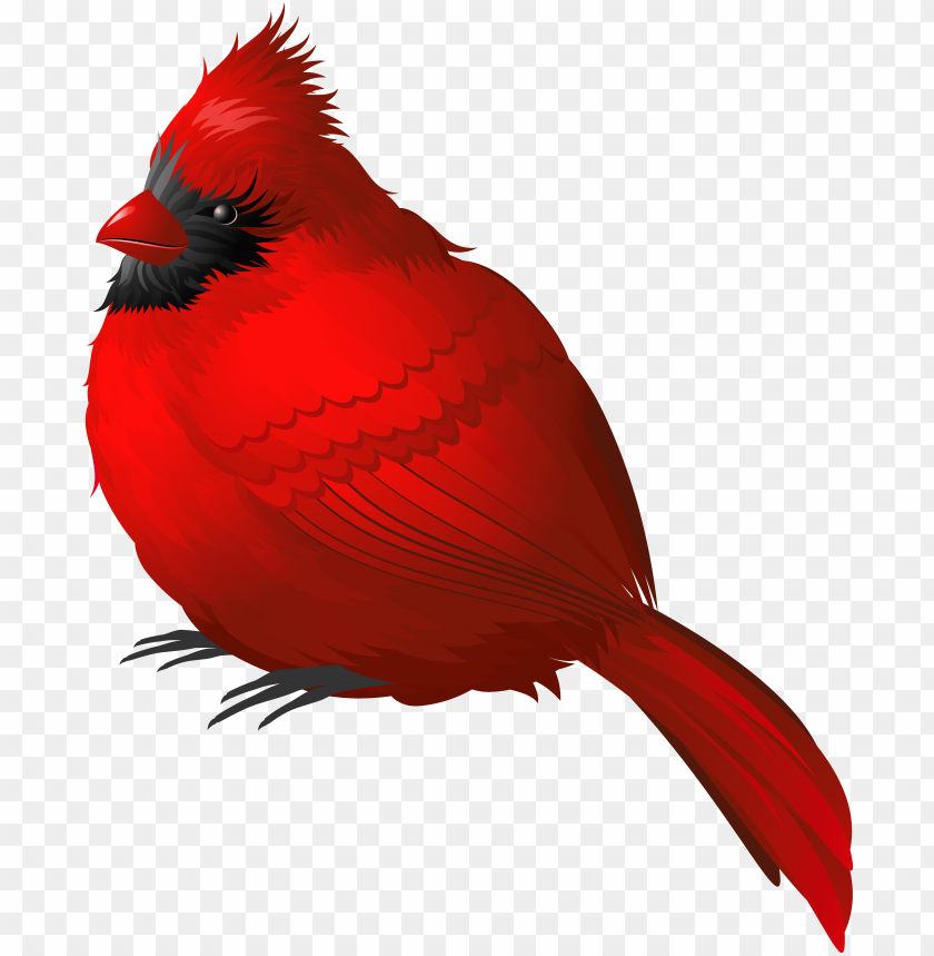 cardinal PNG transparent with Clear Background ID 89028