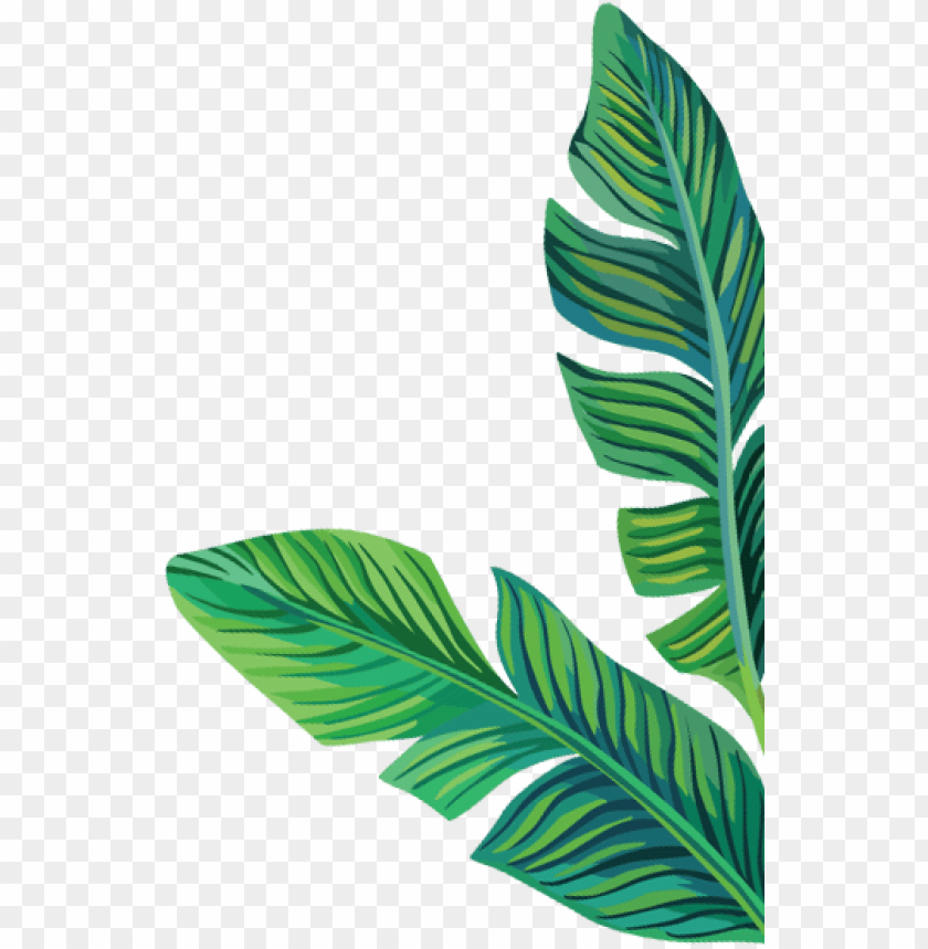 Banana Leaf Png Logo - Banana leaf, banana leaves, green banana leaf ...