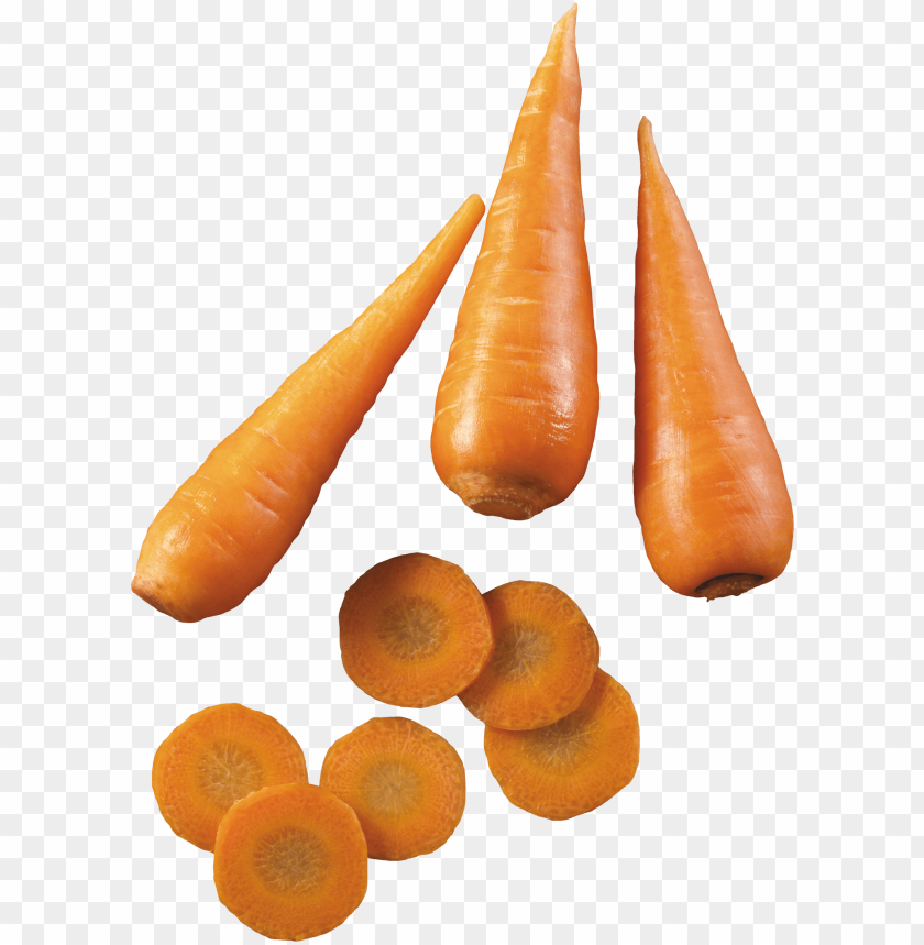 
carrot
, 
domestic carrot
, 
fast-growing
, 
carrots
