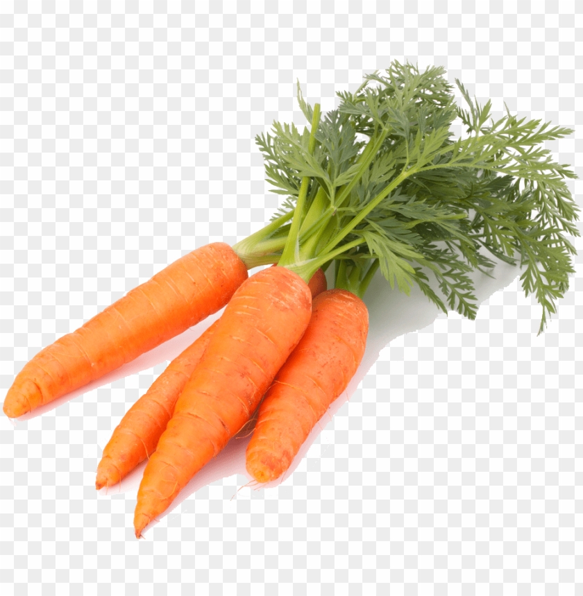 vegetable, texture, background, frame, carrot, wallpaper, pattern