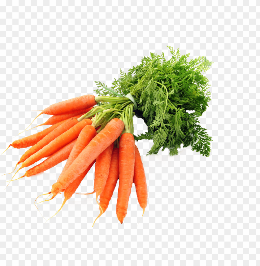 
carrot
, 
vegetables
, 
fresh
, 
deliciouse
, 
food
, 
healthy
, 
carrots
