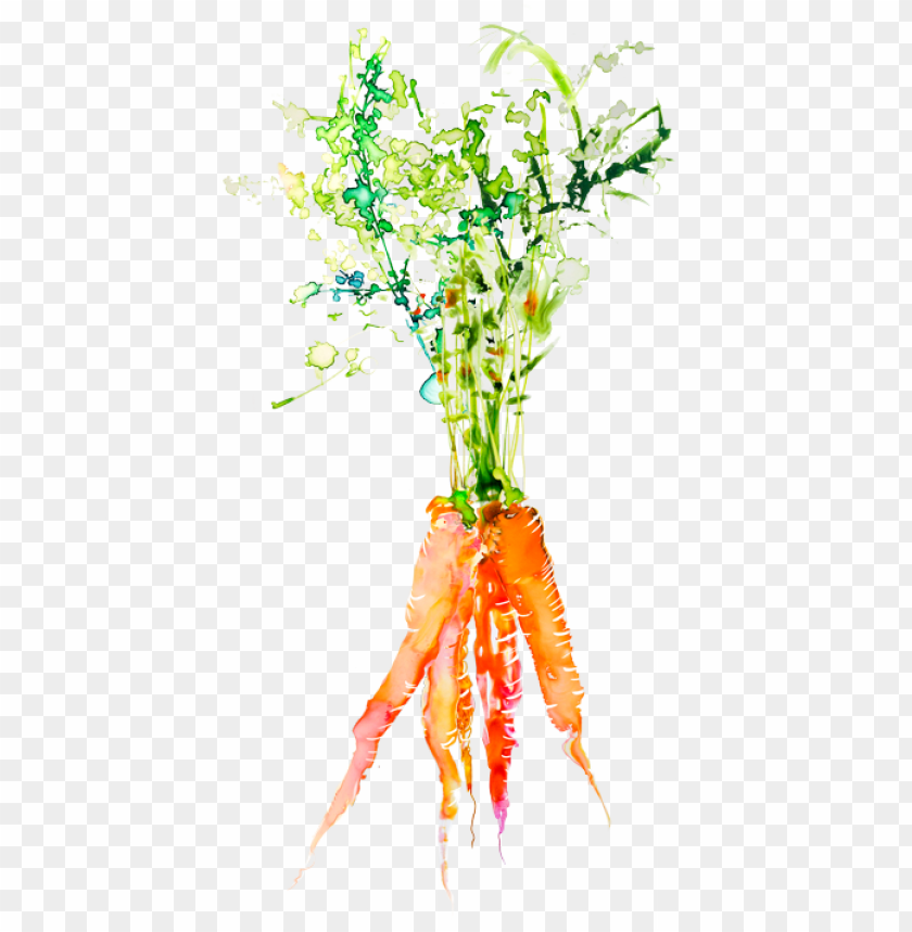 carrot, veggie, pharmacy, corn, isolated, eggplant, medical