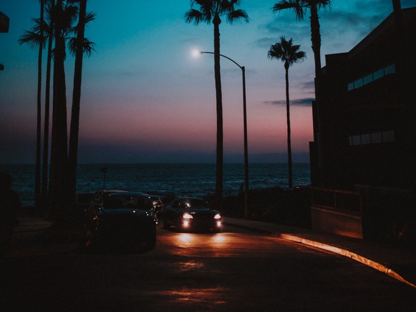 cars, palm trees, sunset, night, tropics