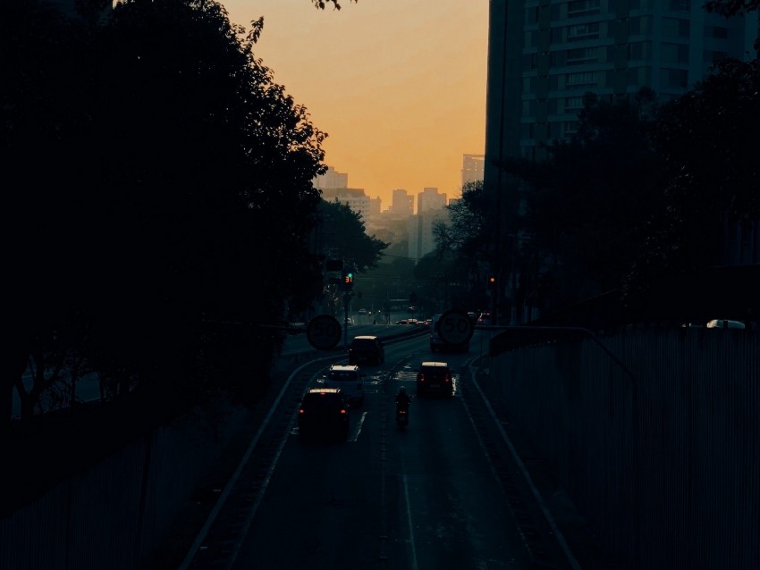 cars, road, sunset, architecture, branches, movement