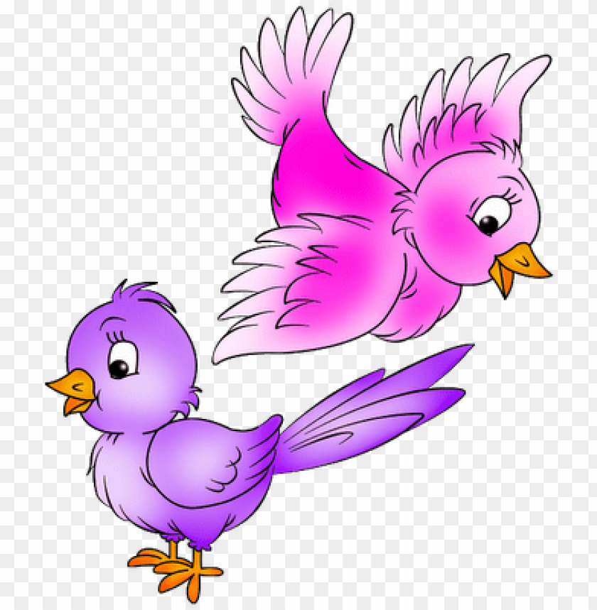 cartoon birds PNG image with transparent background | TOPpng