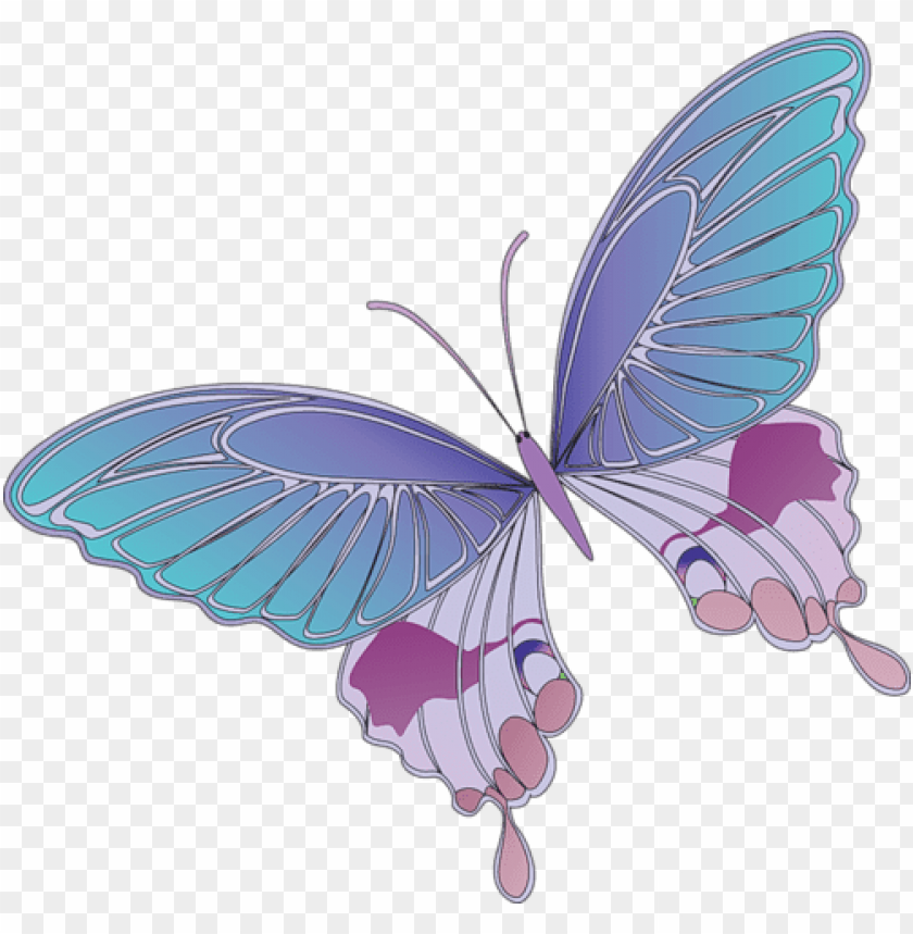 Download cartoon blue and purple butterfly clipart png photo | TOPpng