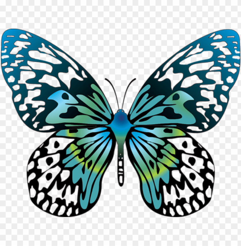 Download cartoon blue transparent butterfly clipart png photo | TOPpng