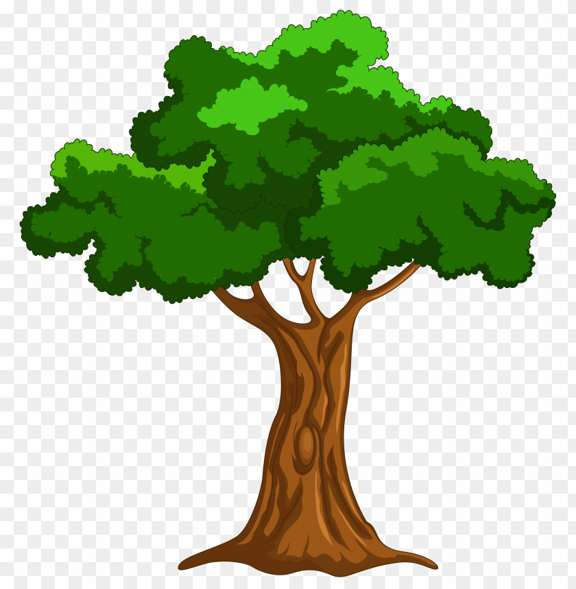 Illustration of a large green tree with a brown trunk on a transparent background.