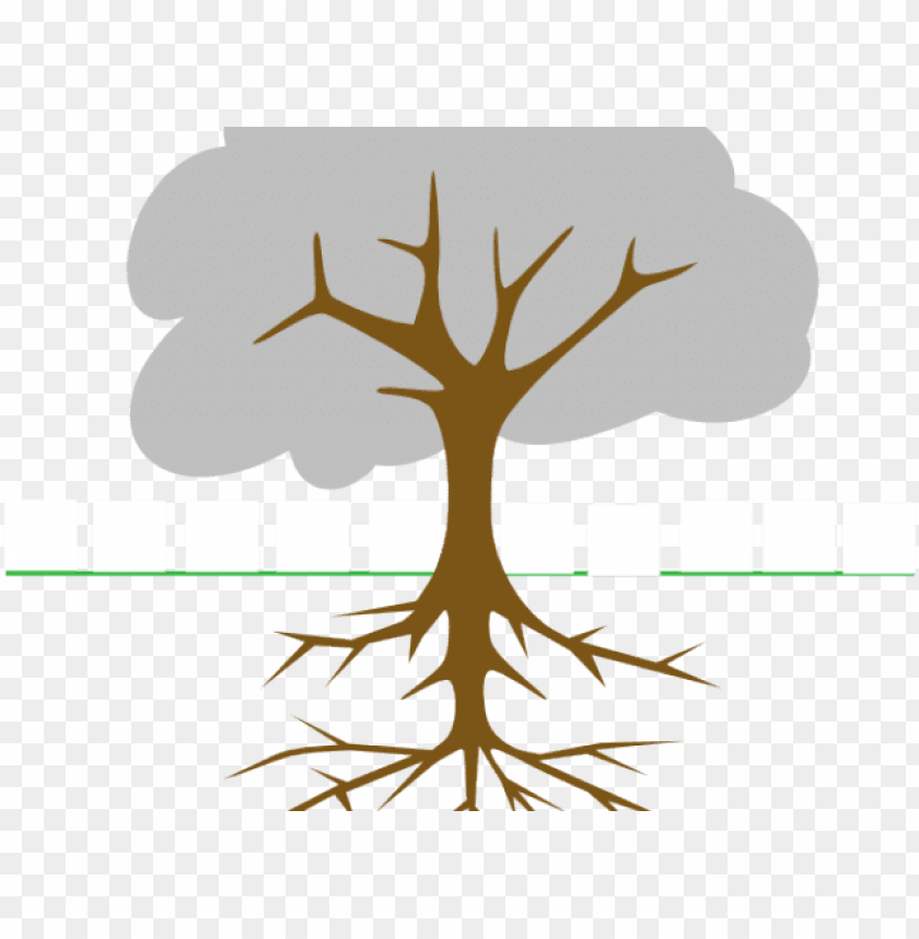 cartoon tree roots - tree clip art PNG image with transparent background |  TOPpng
