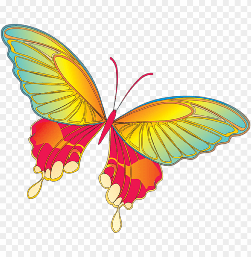 Download cartoon yellow butterfly clipart png photo | TOPpng