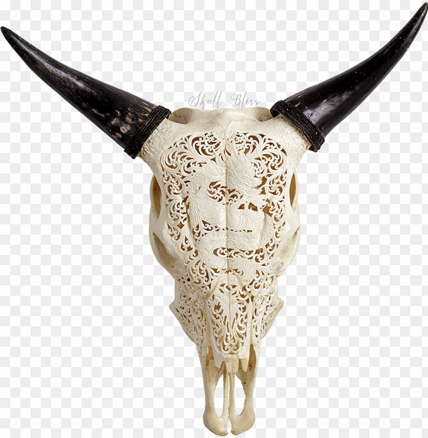 free PNG carved cow skull - laser engraver cow skull PNG image with transparent background PNG images transparent