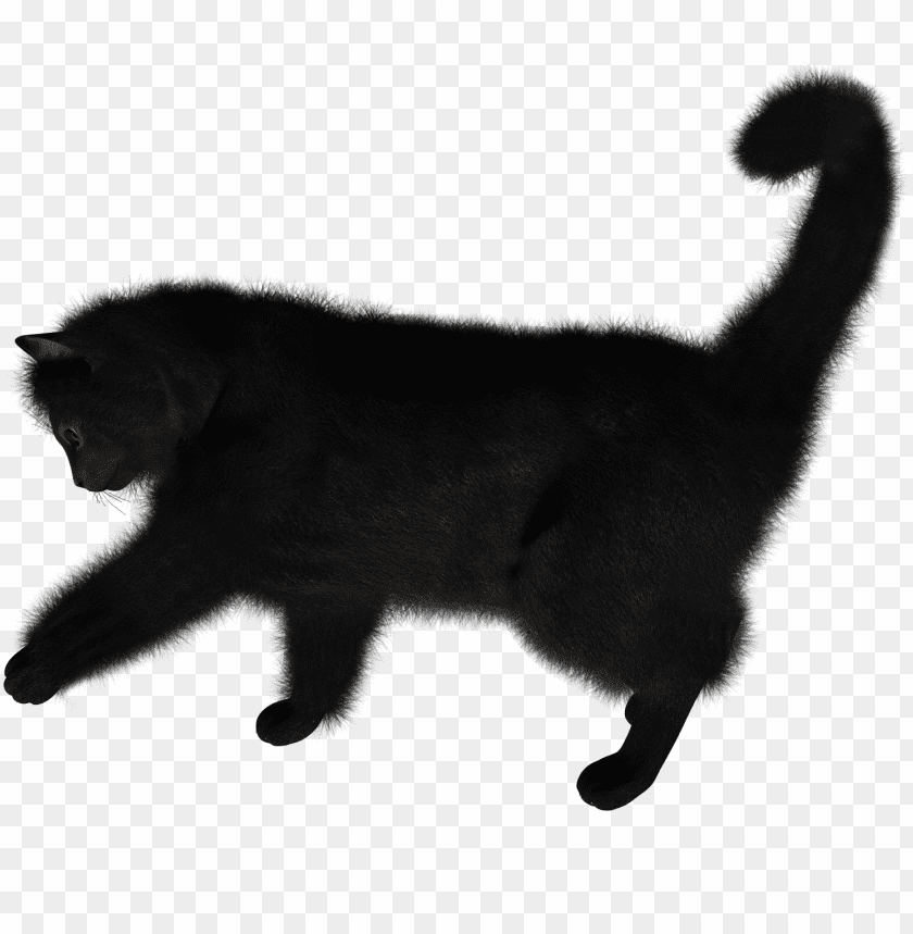 Cat Png Images Background - Image ID 1011