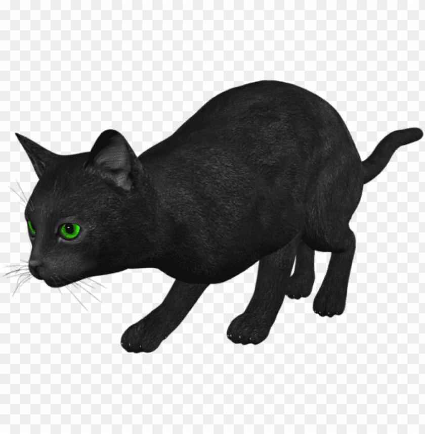 cat png images background - Image ID 1021