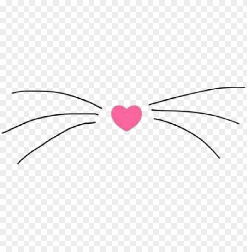 cat whiskers, flying cat, cat face, cat vector, cat paw, cat paw print