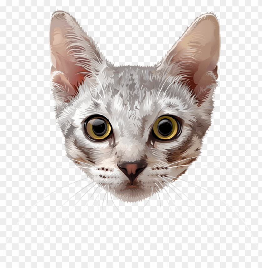 Download Cat Face Png Images Background Toppng - cartoon cat face roblox id