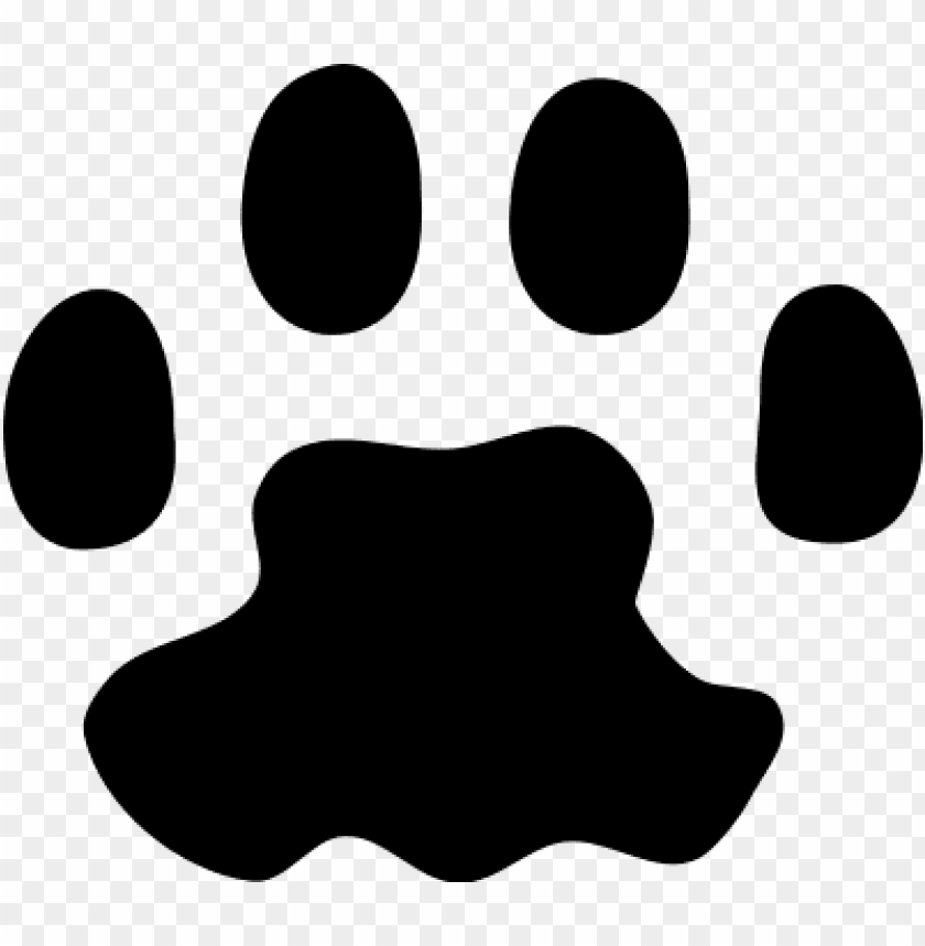animals, paw prints, cat paw print, 