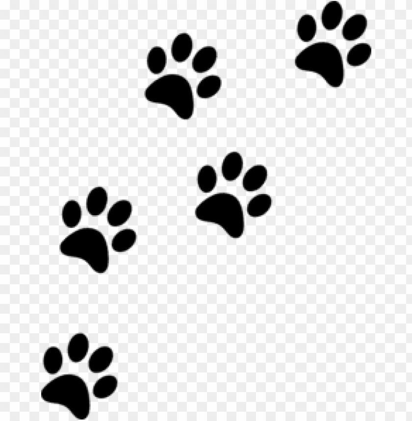 Download Cat Paw Prints Png Images Background TOPpng