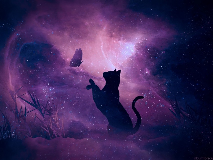 cat, silhouette, butterfly, starry sky, galaxy, stars, shine