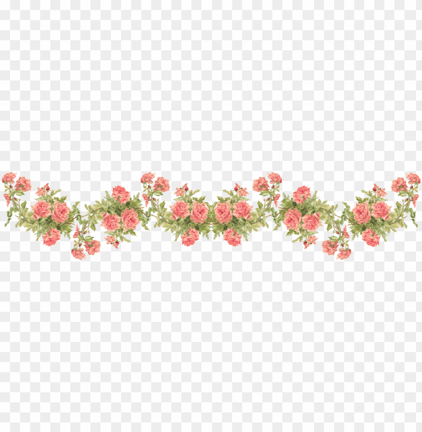 Catherine Klein Peach Roses Digital Elements - Rose Border Transparent Background PNG Transparent With Clear Background ID 202488